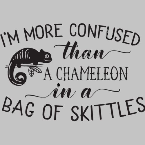 Chameleon in a Bag of Skittles Thumbnail