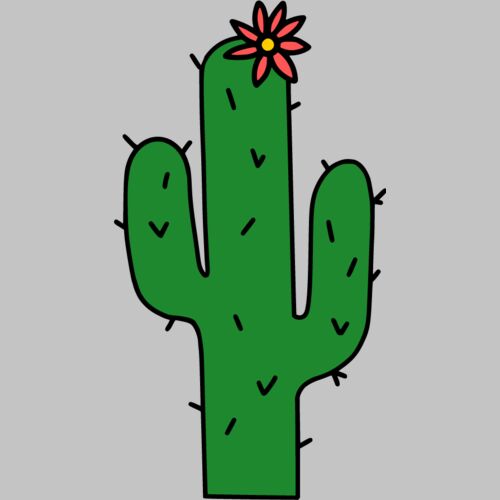 Hello Cactus Flower Thumbnail