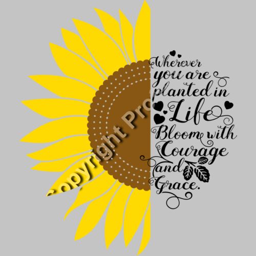 sunflower quote 1 a Thumbnail