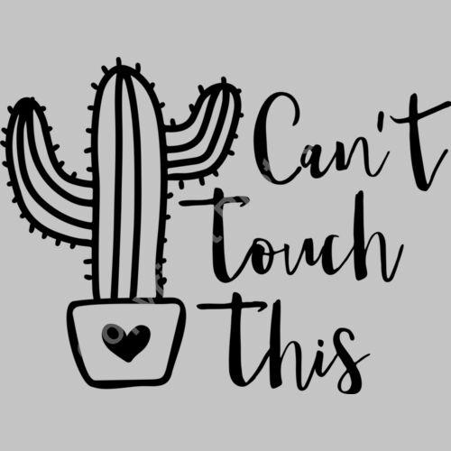 can t touch this 01 Thumbnail