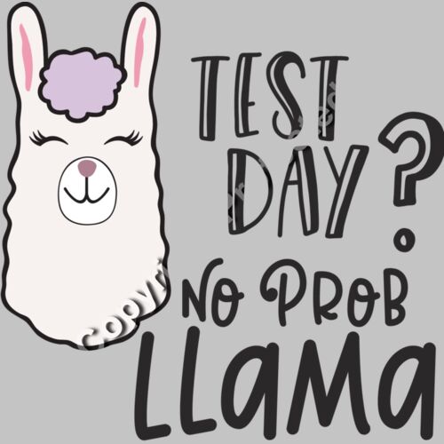 Test Day No Prob Llama Thumbnail