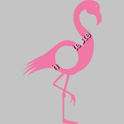 Flamingo 02 Thumbnail