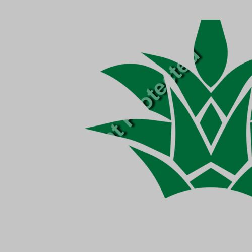 pinapples a  2  Thumbnail