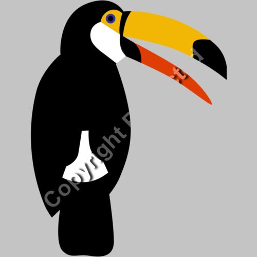 toucan bird Thumbnail