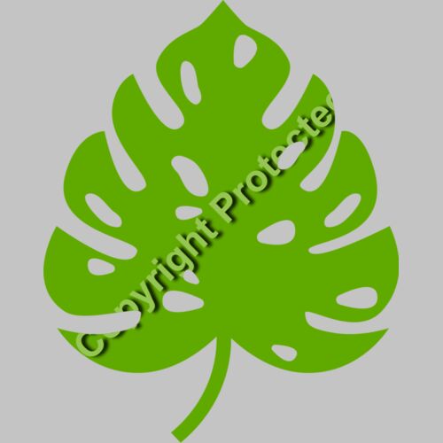 trop leaves  1  Thumbnail