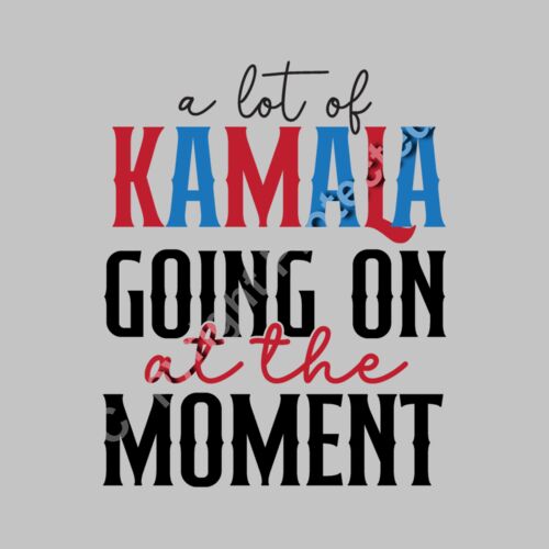 kamala harris 2024 a lot of kamala at the event Thumbnail