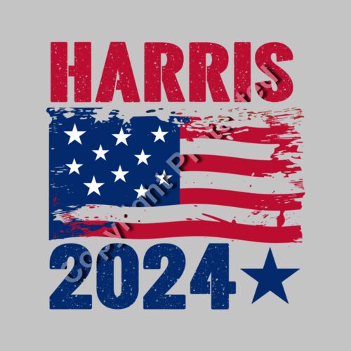 Kamala Harris 2024 campaign American flag graphic red blue stars stripes text design Thumbnail