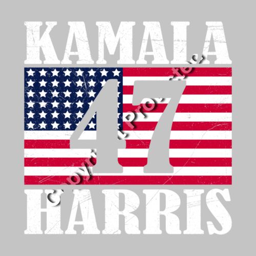 Kamala Harris 2024 campaign graphic with American flag and bold text  featuring number 47     ka Thumbnail