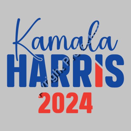 Kamala Harris 2024 campaign logo red blue design text graphic Thumbnail