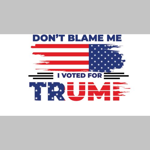 Trump 2024 campaign graphic with American flag and text Don t Blame Me I Voted For Trump Thumbnail