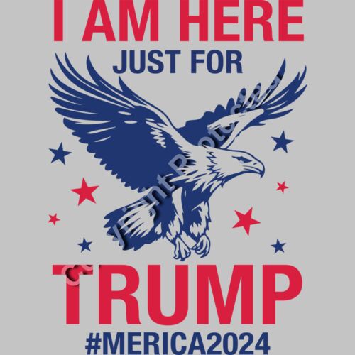 Trump 2024 Eagle Graphic with Patriotic Colors and Bold Text Thumbnail