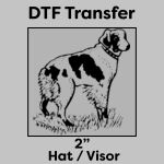 DTF Transfer 2" Thumbnail