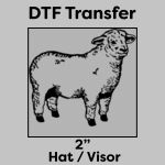 DTF Transfer 2" Thumbnail