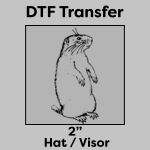 DTF Transfer 2" Thumbnail