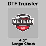 DTF Transfer 4.5" Thumbnail