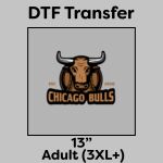 DTF Transfer 13" Thumbnail