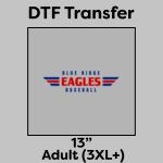 DTF Transfer 13" Thumbnail